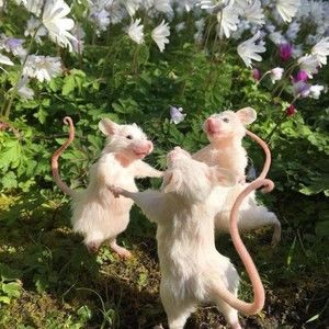 Meet your Posher, Caroline